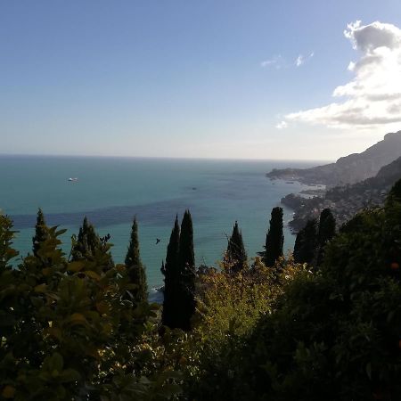 Monaco'S Cottage & Spa Roquebrune-Cap-Martin Exteriör bild